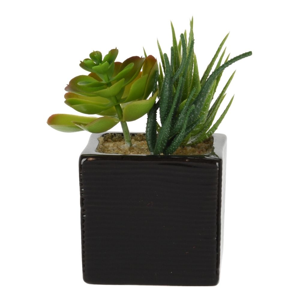 Decoratiune Planta Artificiala in Ghiveci Ceramic, Diverse Modele