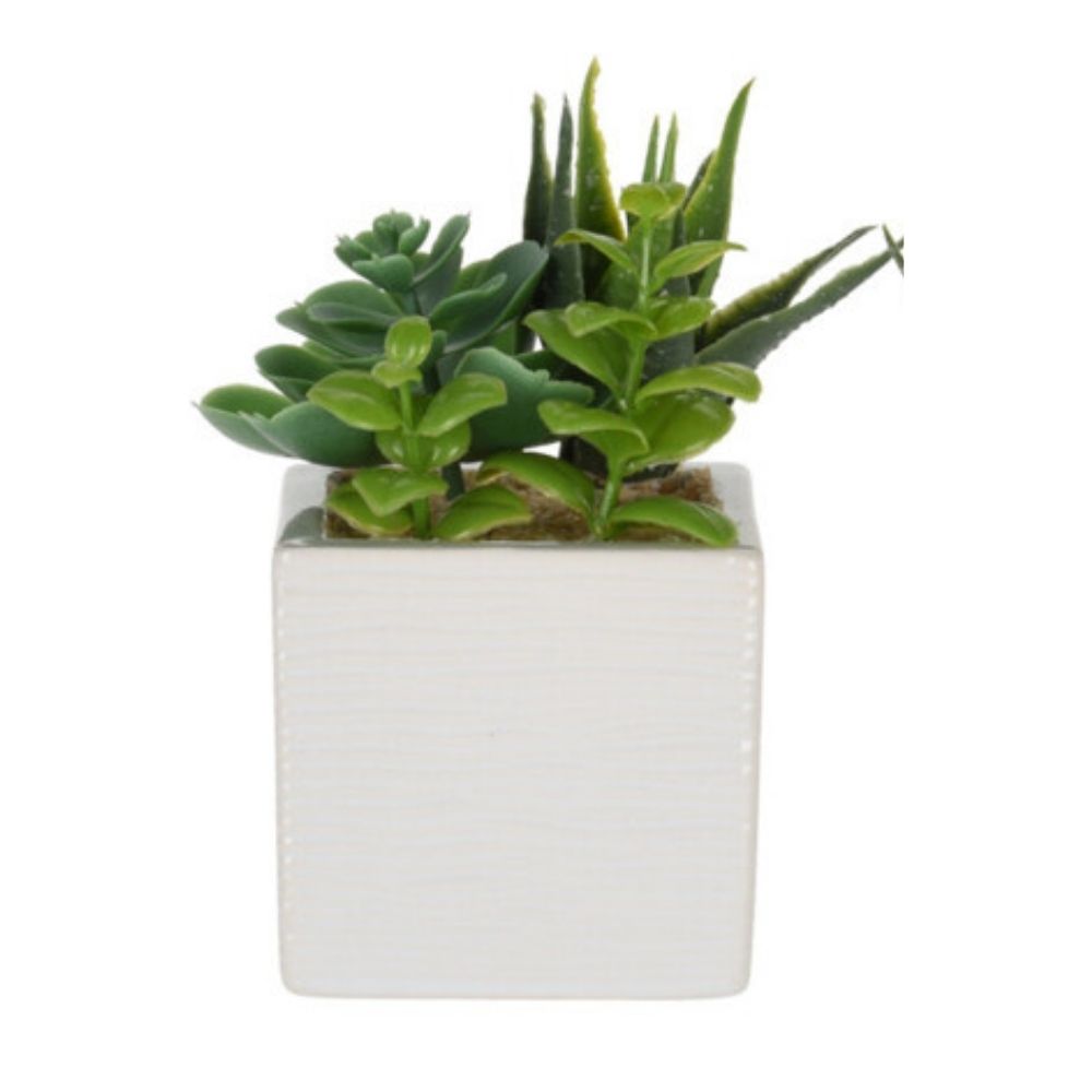Decoratiune Planta Artificiala in Ghiveci Ceramic, Diverse Modele