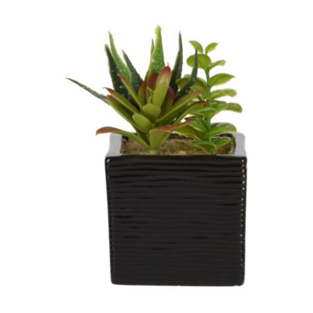 Decoratiune Planta Artificiala in Ghiveci Ceramic, Diverse Modele