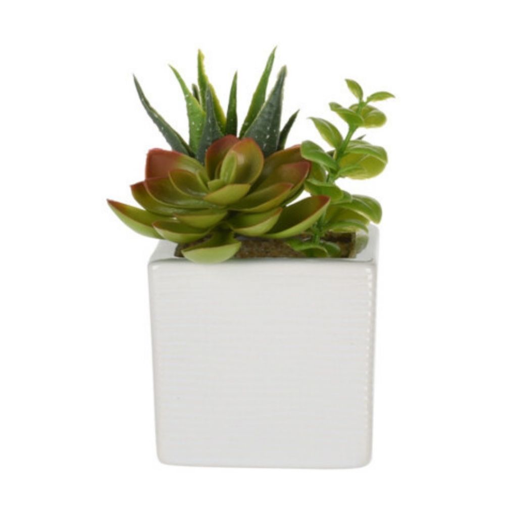 Decoratiune Planta Artificiala in Ghiveci Ceramic, Diverse Modele