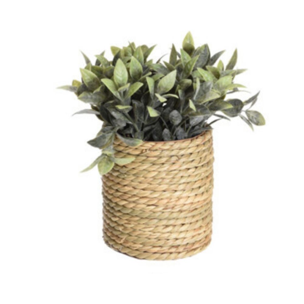 Decoratiune Planta Artificiala in Cos, Diverse Modele
