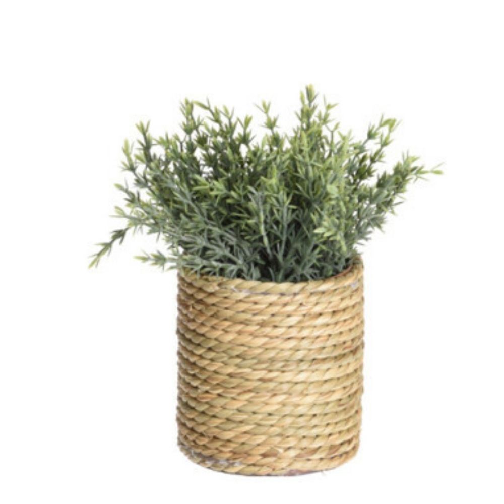 Decoratiune Planta Artificiala in Cos, Diverse Modele