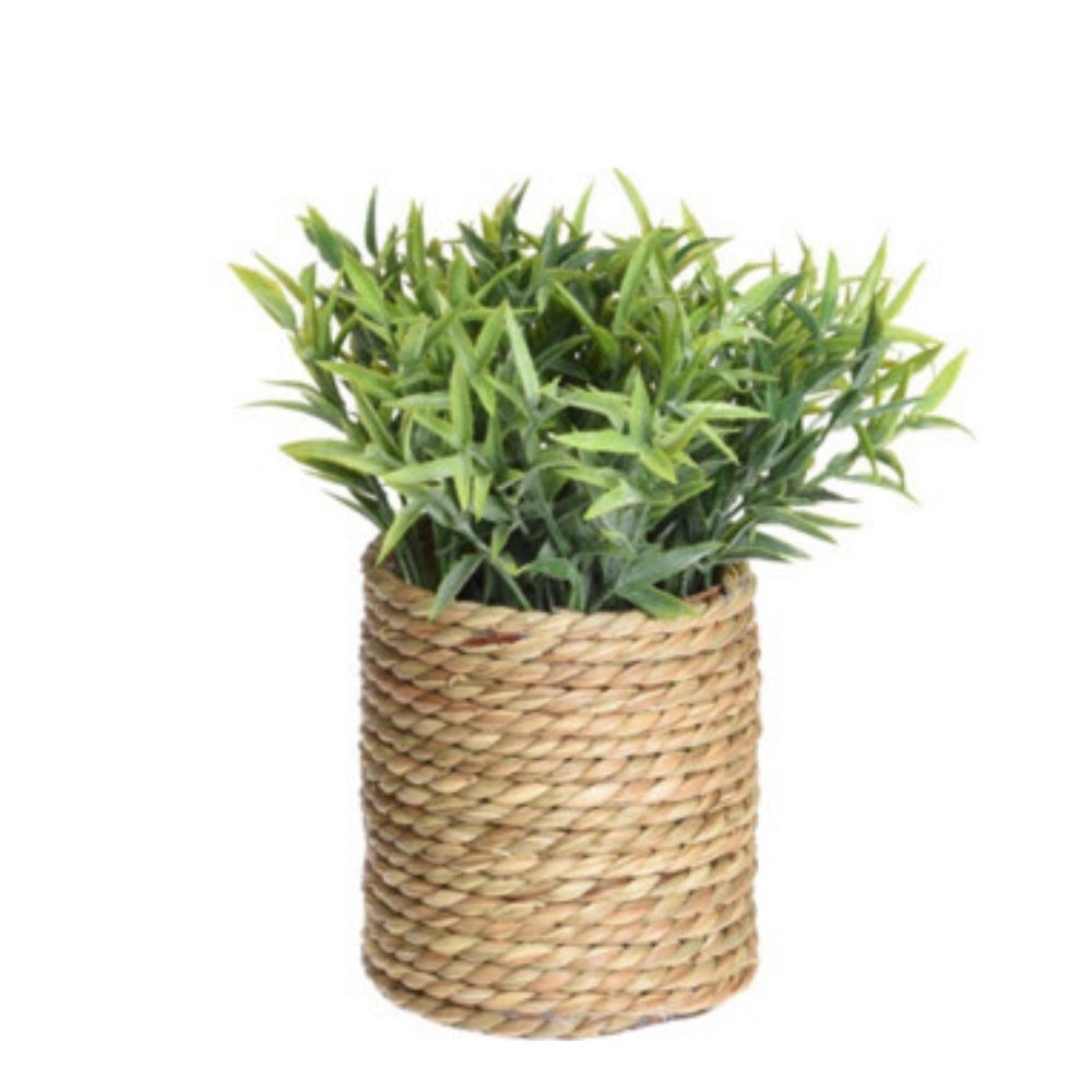 Decoratiune Planta Artificiala in Cos, Diverse Modele