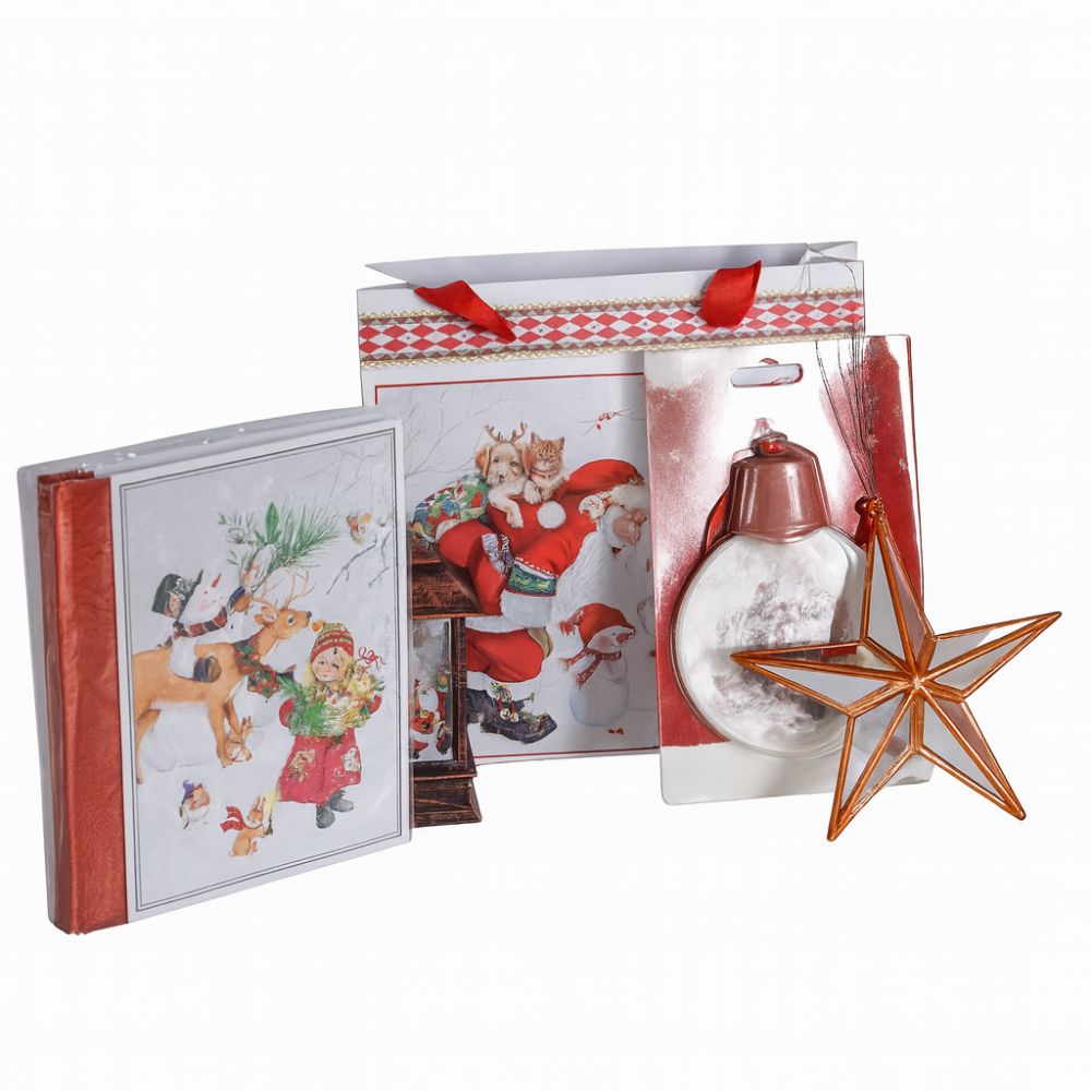 Pachet Cadou Craciun 2