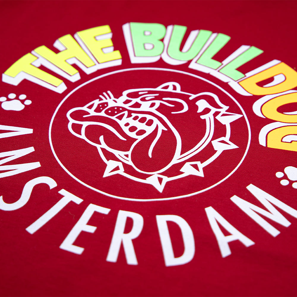 TBDA Tricou Original Rainbow Logo