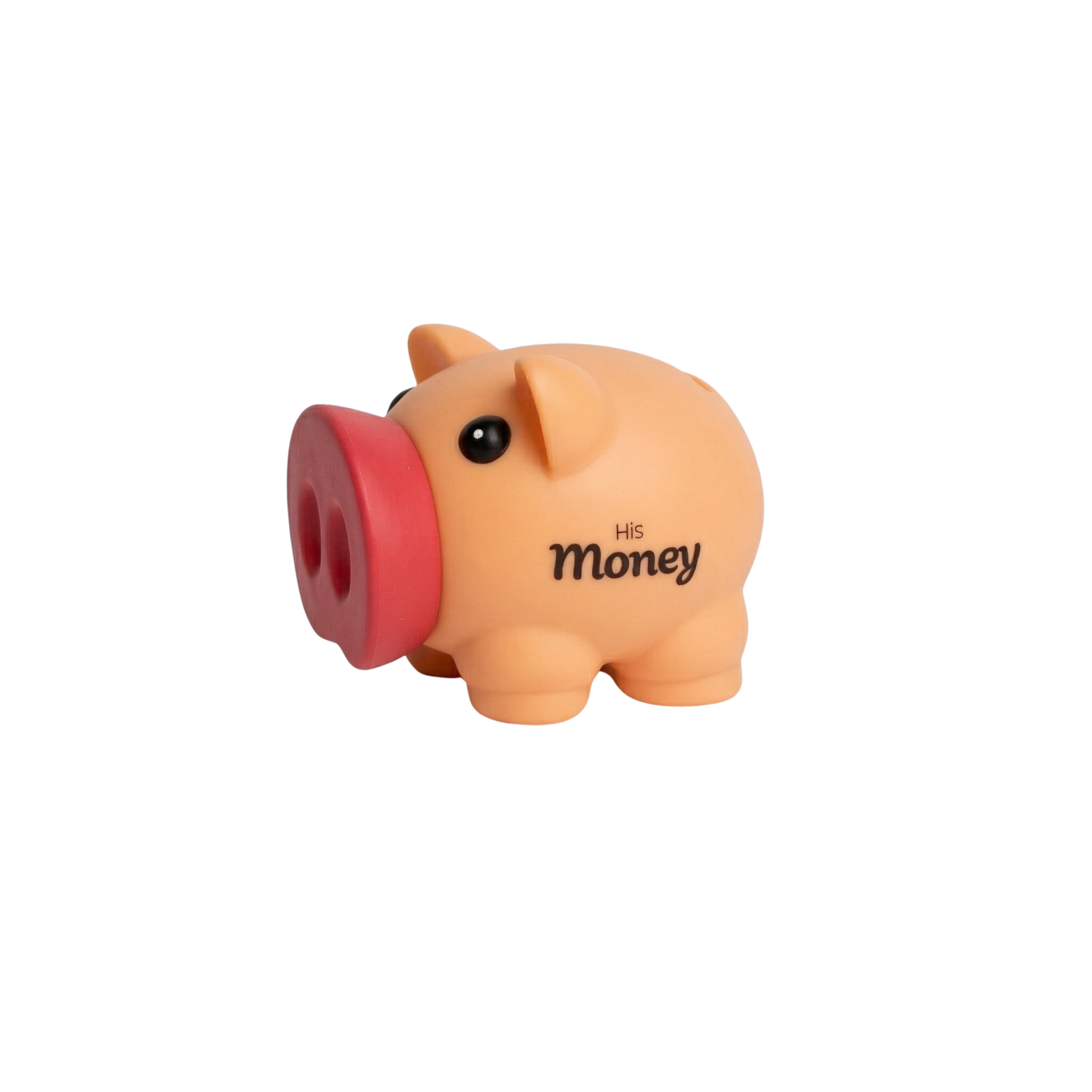 Pusculita Plastic "His Money"