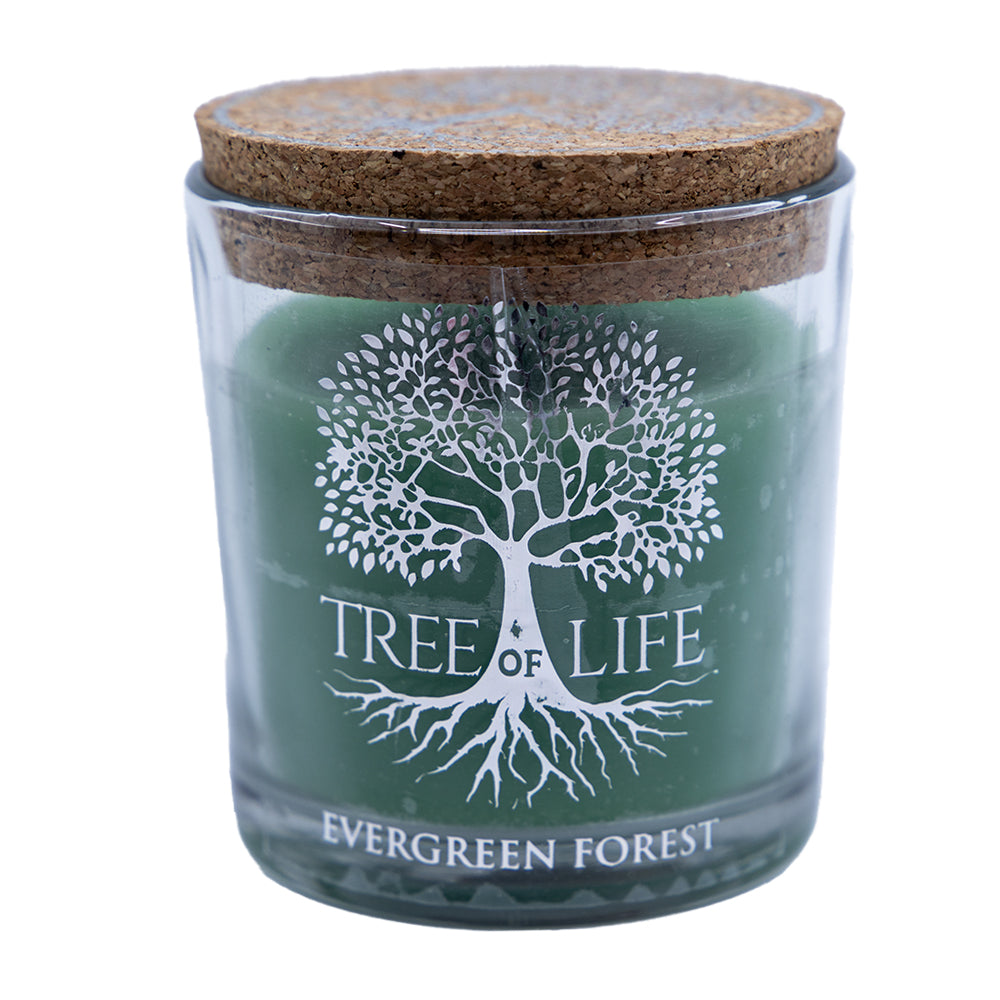 Lumanare Parfumata 120gr, Evergreen Forest - Tree Of Life