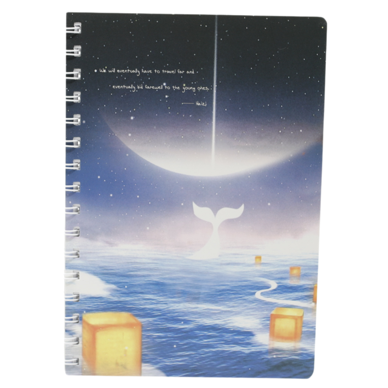 Agenda A5 Nedatata cu Spirala si Coperta din Carton, Diverse Modele