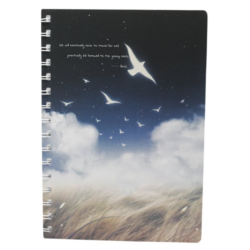 Agenda A5 Nedatata cu Spirala si Coperta din Carton, Diverse Modele