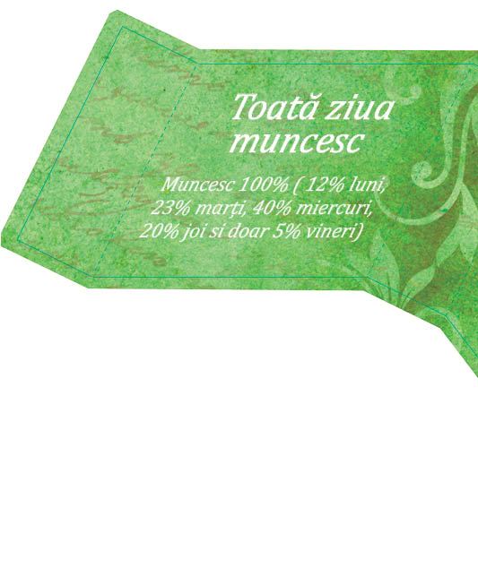 Pix personalizat in cutie cadou cu mesaj "Toata Ziua Muncesc"